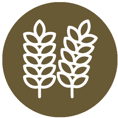 Grain (G) icon