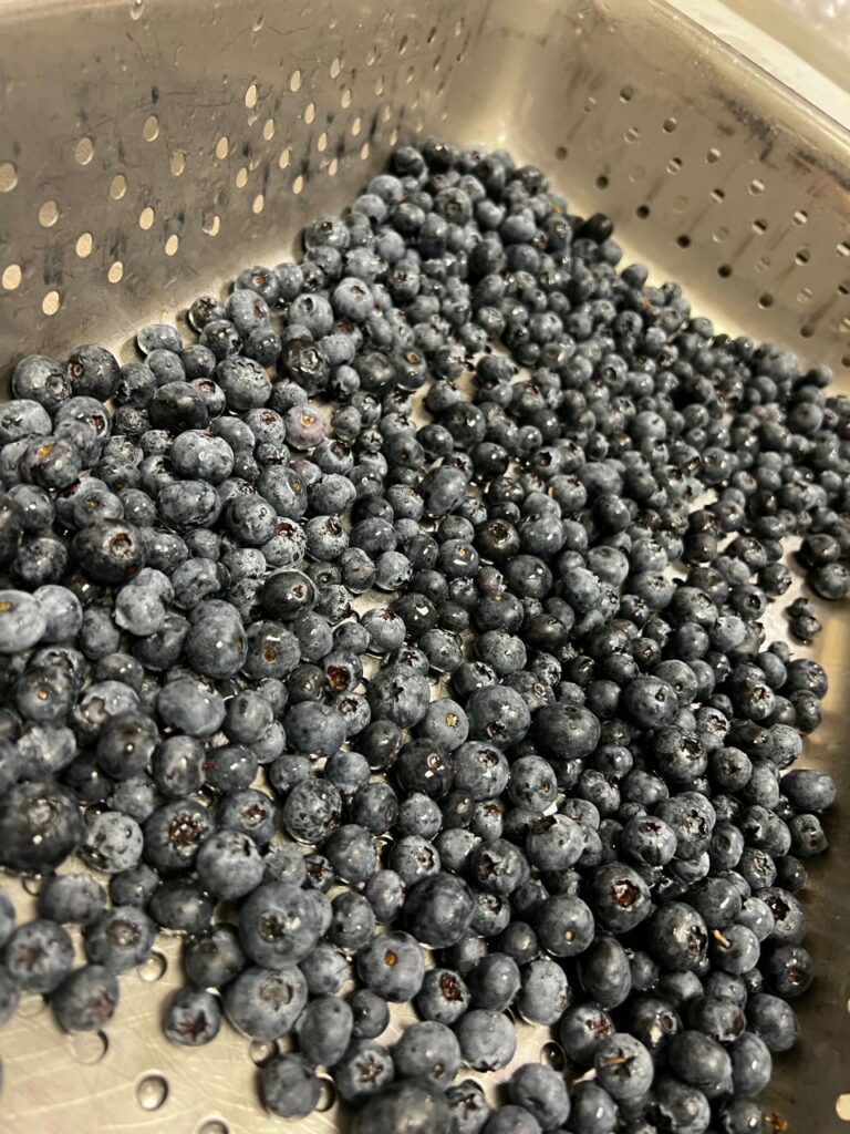 Washing fresh blueberries.