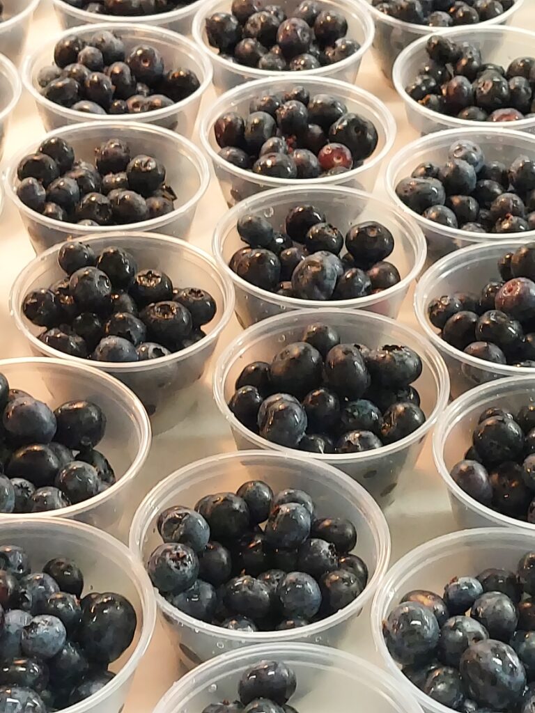 Fresh Blueberries in cups.