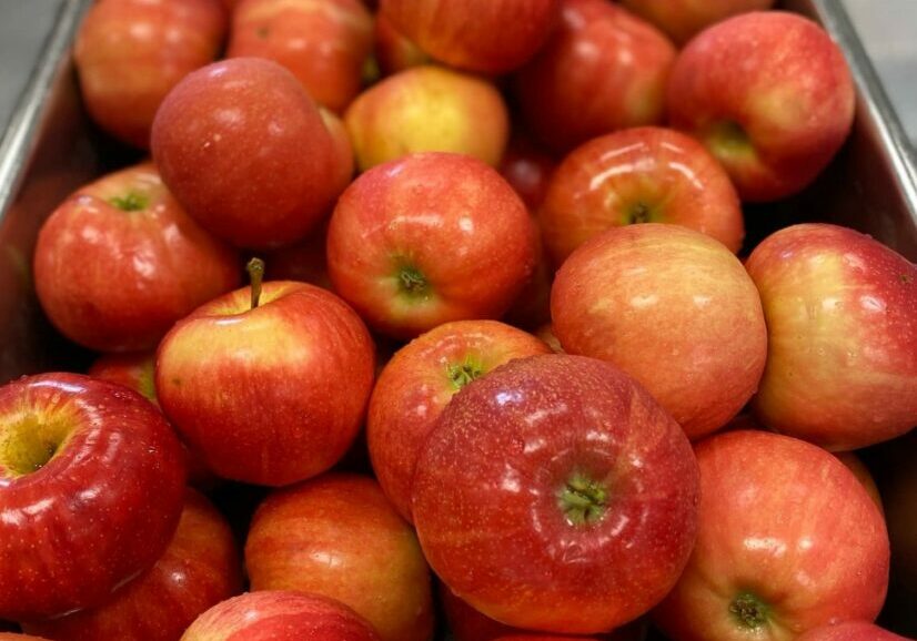 Whole red apples.