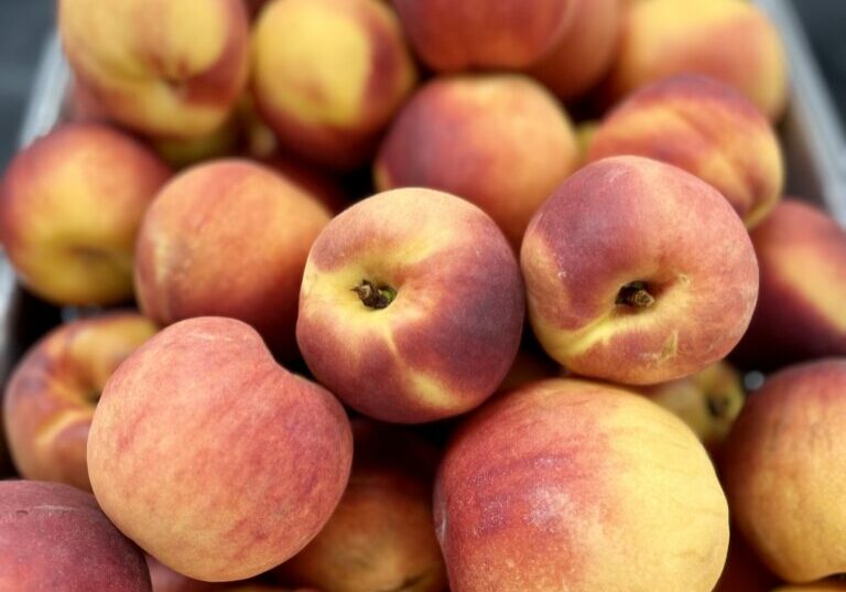 Peaches in 4-inch skinny pans for service.