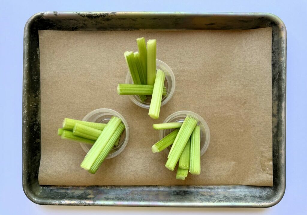 Celery Dippers