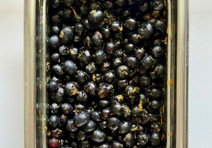 Fresh Orange Zested Blueberries