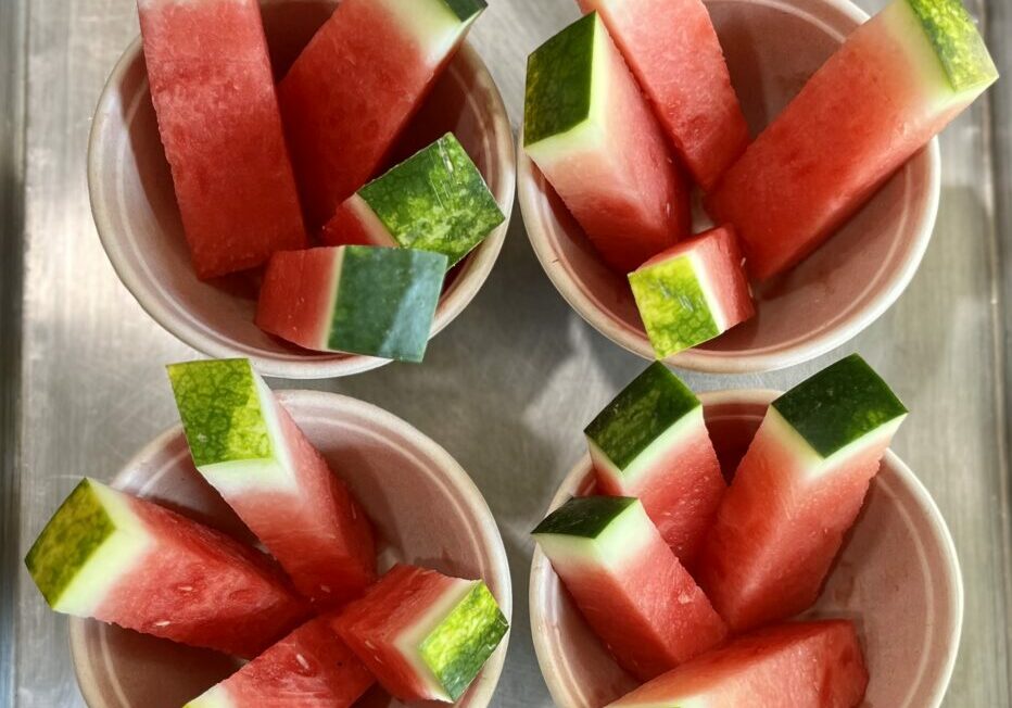 Chilled Watermelon Sticks