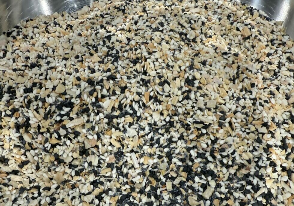 Everything Bagel Seasoning