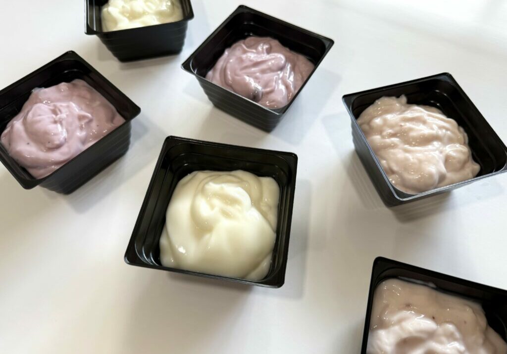 Snack Yogurt Variety