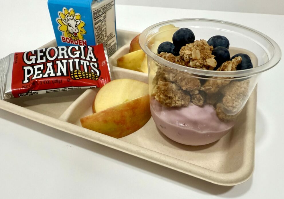 Blueberry Peanut Crunch Fro-Yo