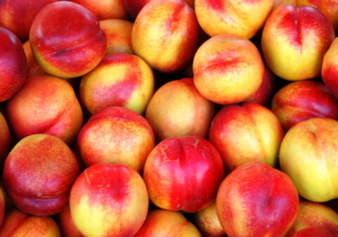 Snack Fresh Nectarines